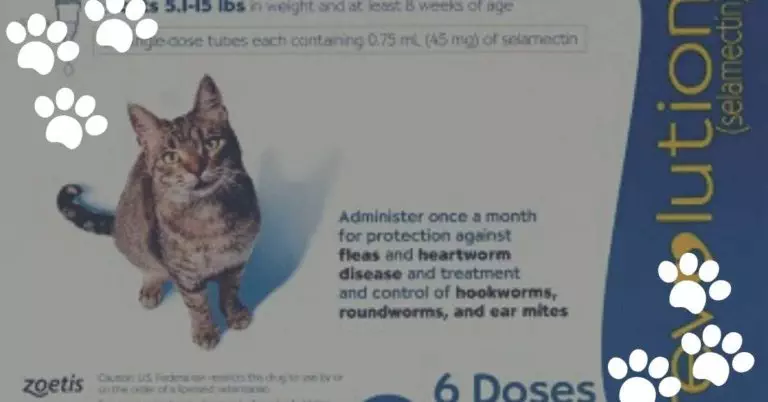 diseases-mi-cat-guide